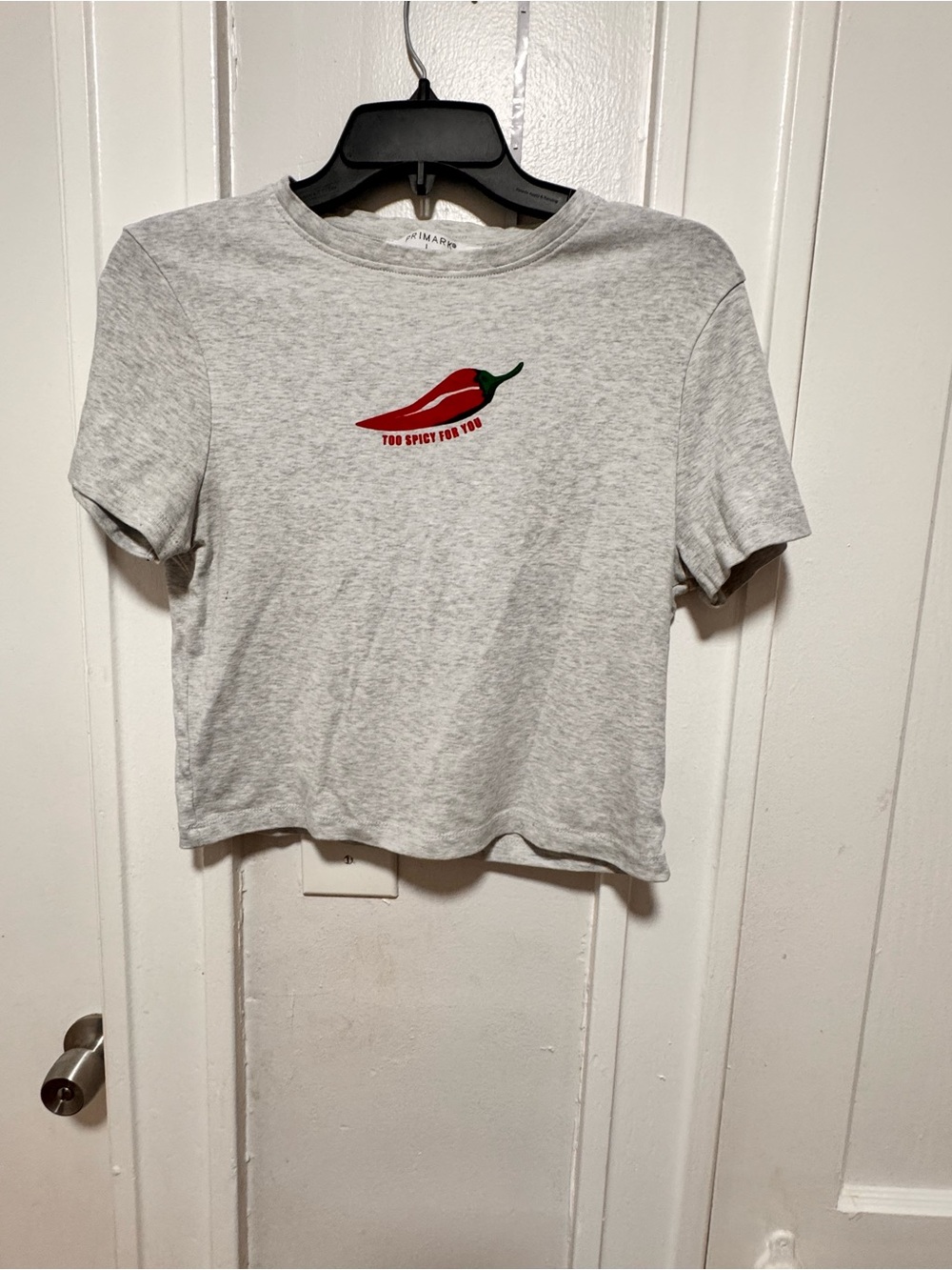 Primark "Too Spicy For You" Gray Graphic Crop Top - Size L